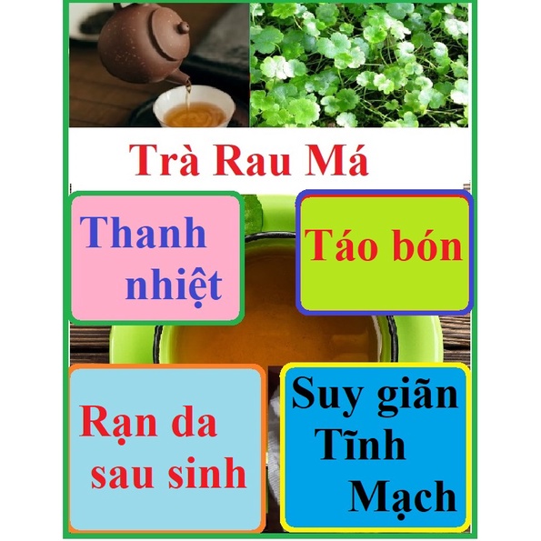 Trà RAU MÁ -  (40 TÚI LỌC )