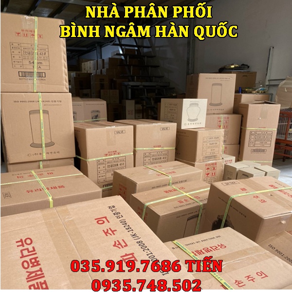 Bình ngâm rượu thủy tinh Hàn Quốc 1.5L NO.60| Mẫu mới