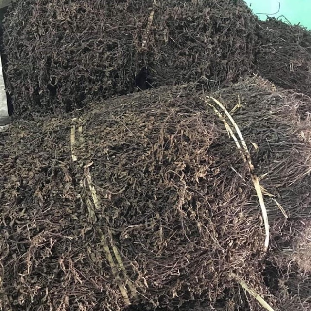 Cây Thạch Đen Cao Bằng 1000g