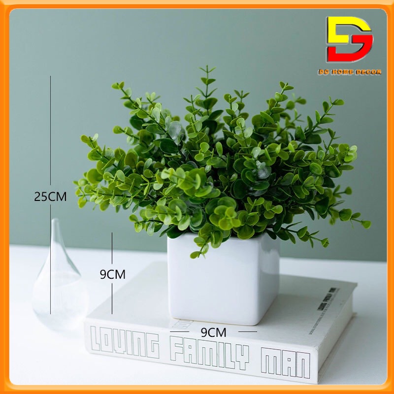 Chậu Cây Kim Tiền Xanh Cây Giả Decor Để Bàn Làm Việc Trang Trí Nhà Cửa Cao 35cm DG-61