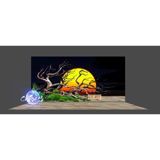 Tranh 3d dán bể cá thủy sinh, bể cá rồng