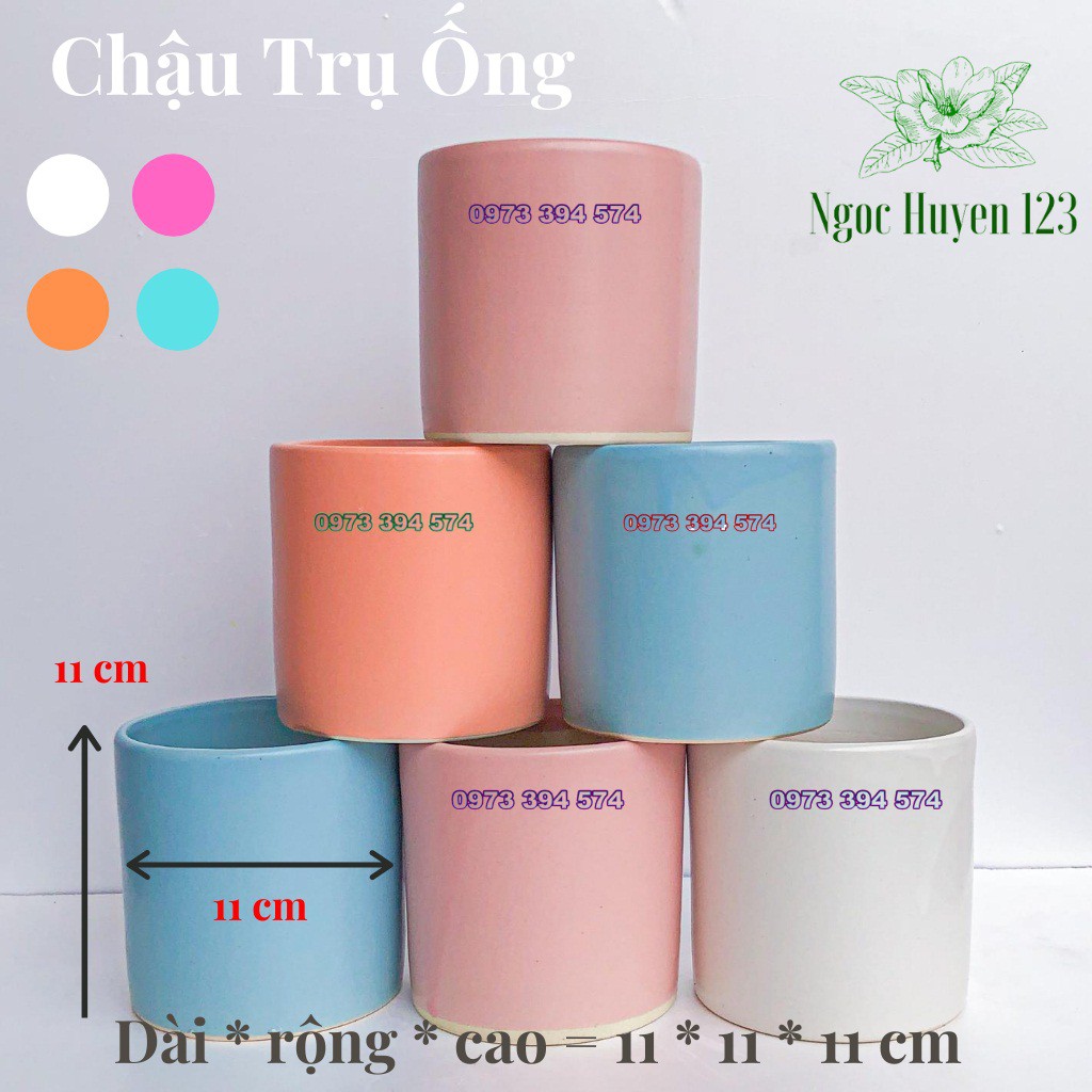 Chậu Sứ Trụ Tròn- Trồng Cây Để Bàn, Sen Đá, Xương Rồng