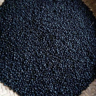 ĐỖ ĐEN XANH LÒNG