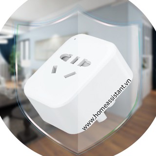 Ổ Cắm Wifi Zigbee Tuya Google Home, Amazon Alexa OC05 (Smart Life)