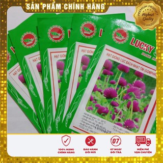 Combo 5 gói hạt giống hoa cúc Bách Nhật tím  ,tặng 2 gói Siêu Ra Rễ