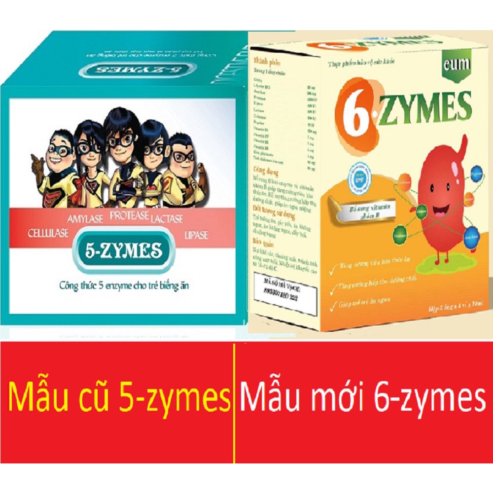 6 Zymes - Bổ sung đầy đủ 6 loại enzyme và vitamin nhóm B cần thiết cho cơ thể