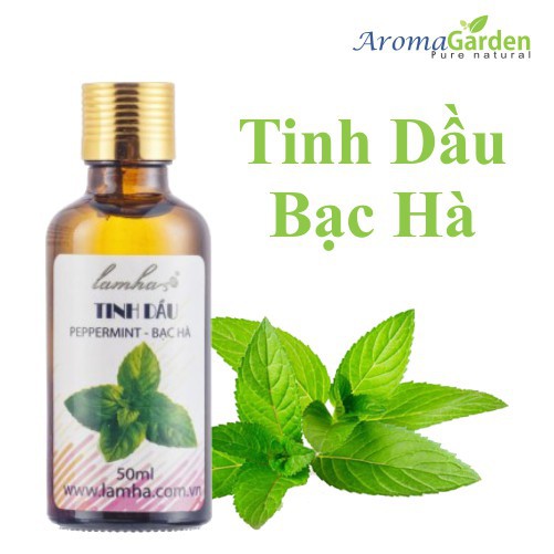 Tinh dầu Bạc Hà