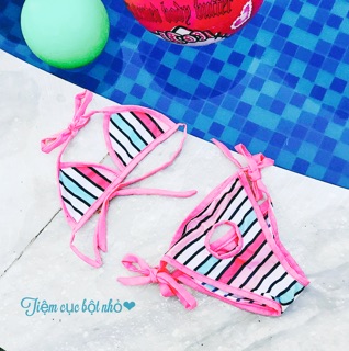 Bikini chó mèo