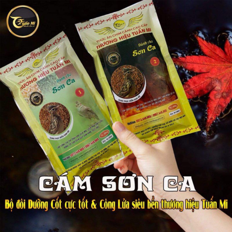 Cám sơn ca số 2