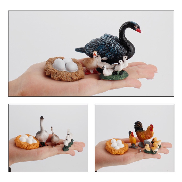 hình gà vịt ngỗng mô phỏng miễn phí / trang trại gia cầm ấp trứng giai đoạn tăng trưởng đồ chơi giáo dục trẻ em