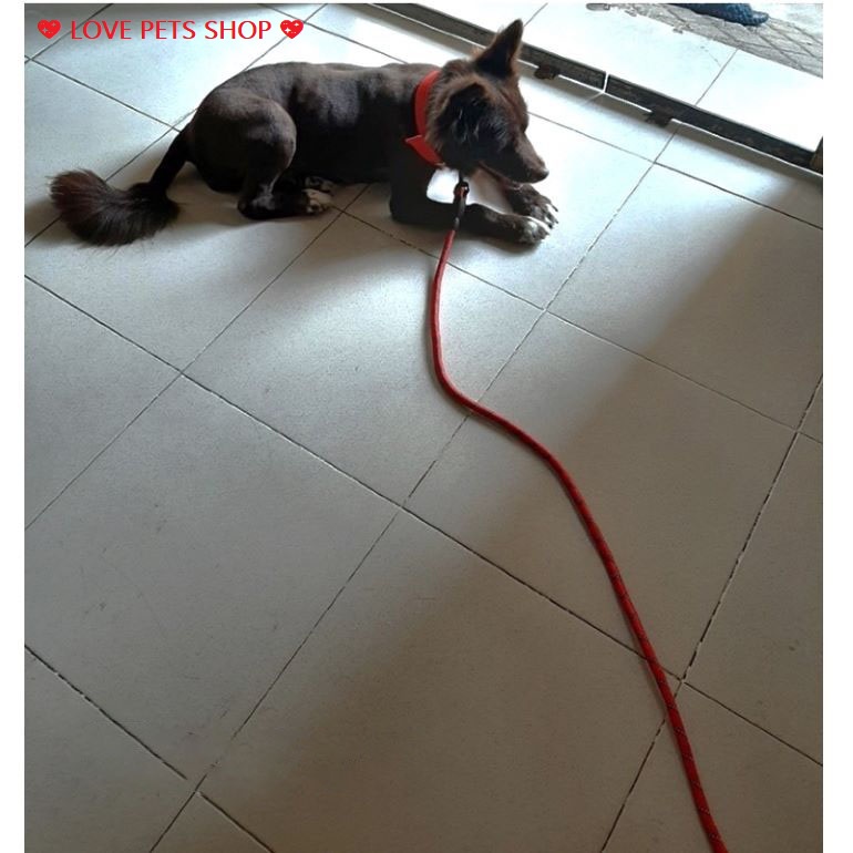 BỘ DÂY DẮT CHÓ PHẢN QUANG KÈM VÒNG CỔ CÓ ĐỆM CHO CHÓ LỚN -  LOVE PETS SHOP