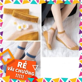 Set 10 tất lưới hoa cúc người lớn