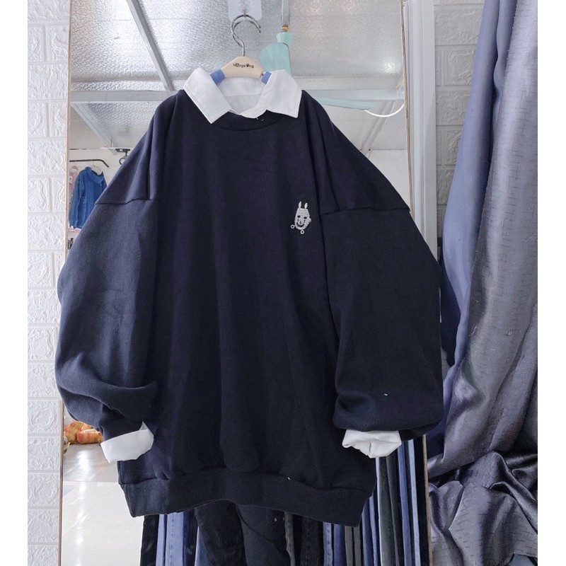  [FREE SHIP] ÁO SWEATER CÔ GÁI THÊU FORM <75kg | BigBuy360 - bigbuy360.vn