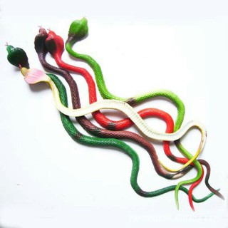 Đồ chơi Con rắn hổ mang giả bằng su dài 70cm