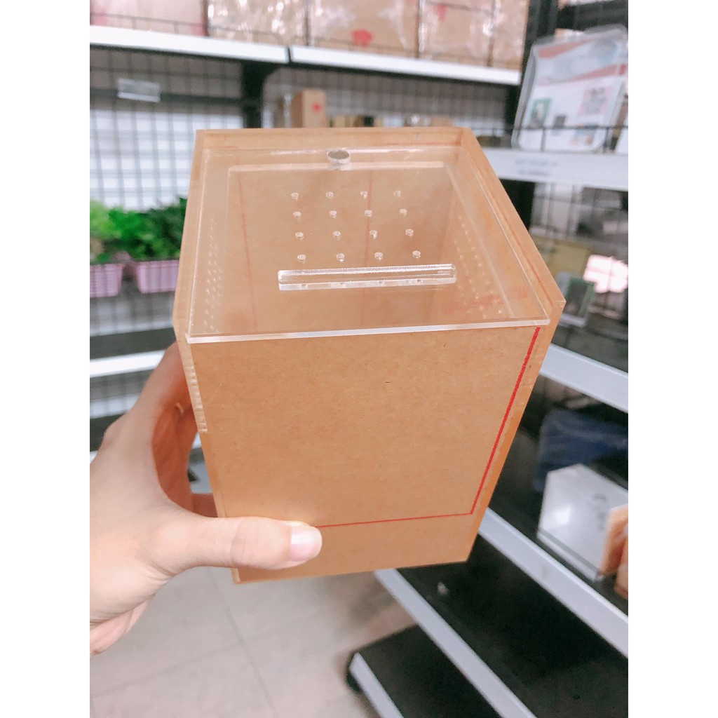 Hộp nuôi nhện cây/ nhện nhảy/ bọ ngựa kích thước 10x10x15cm....