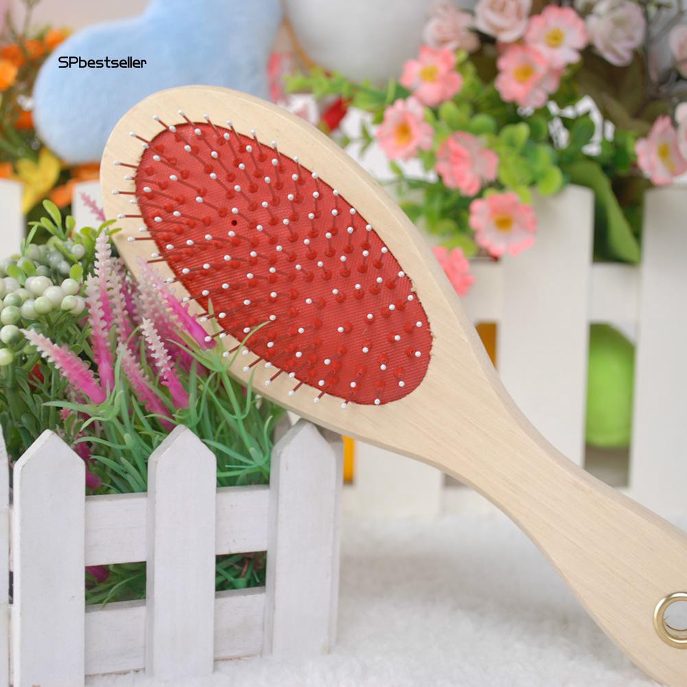 Lược chải lông vệ sinh cho thú cưng 2 mặt tiện lợi