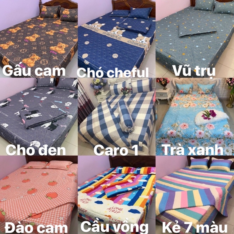 Set Ga phủ trần bông full, chất liệu cotton poly dày dặn | BigBuy360 - bigbuy360.vn