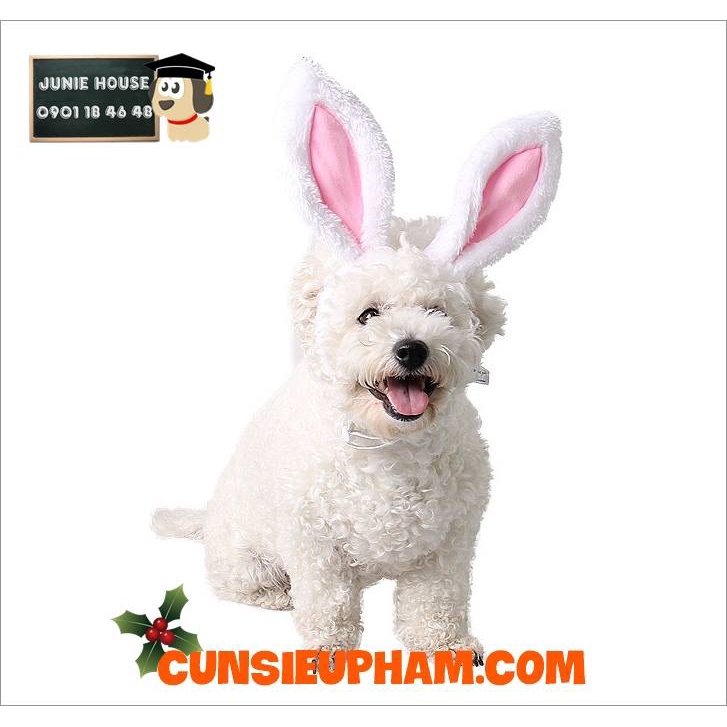 Nón tuần lộc Noel Giáng sinh cho chó mèo