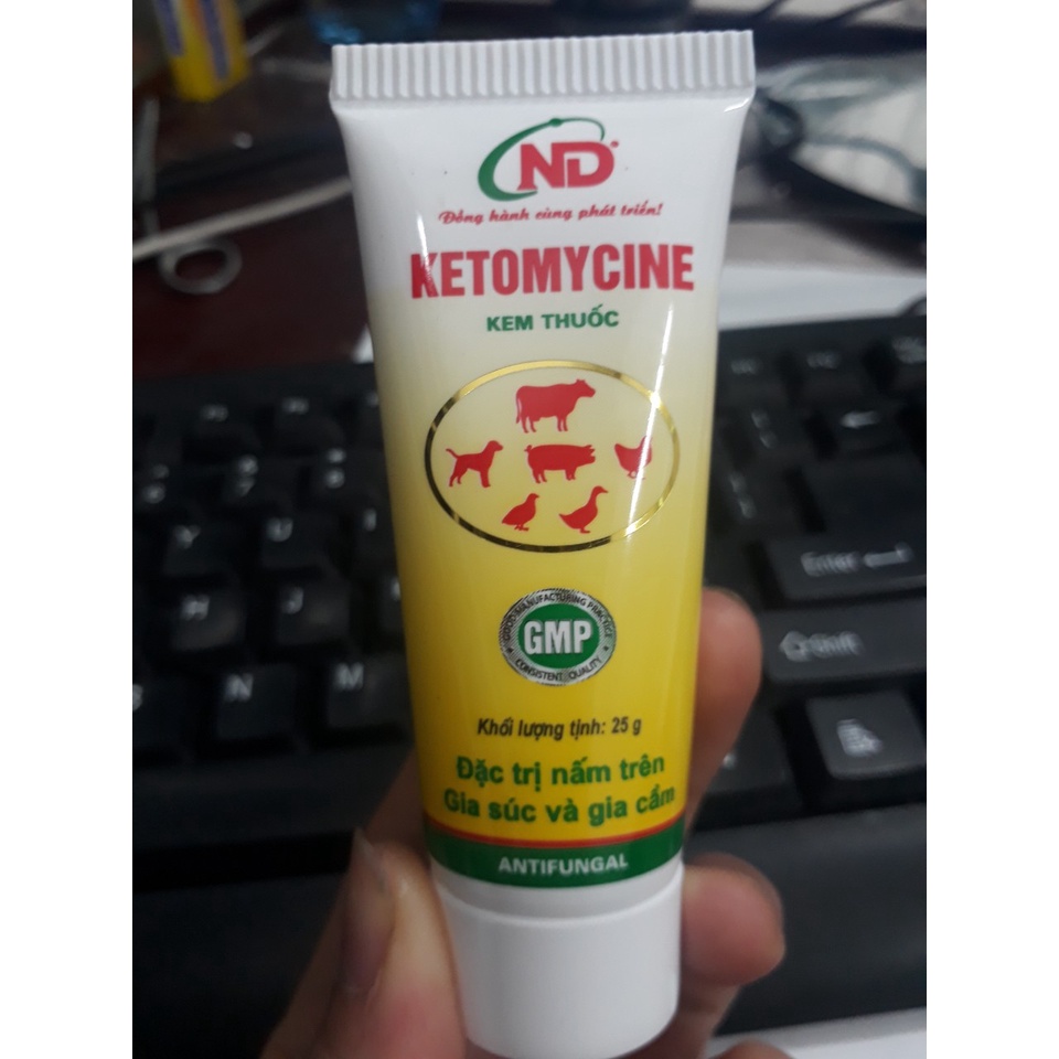 Thuốc đặc trị nấm ở chó, mèo– KETOMYCINE
