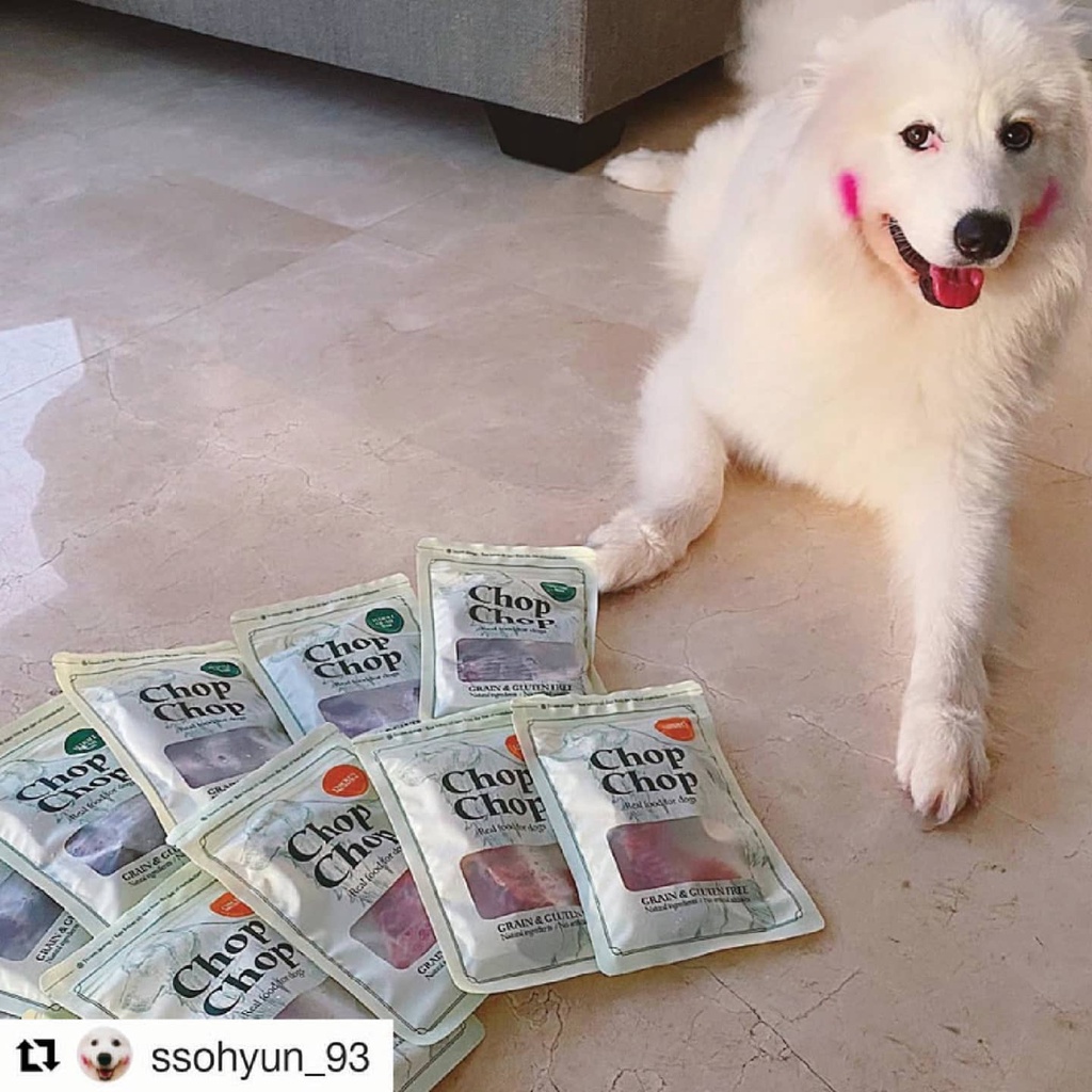 Snack tươi cho chó Chopchop hàn quốc, thức ăn vặt raw cao cấp sấy cho chó Con Mèo Xiêm