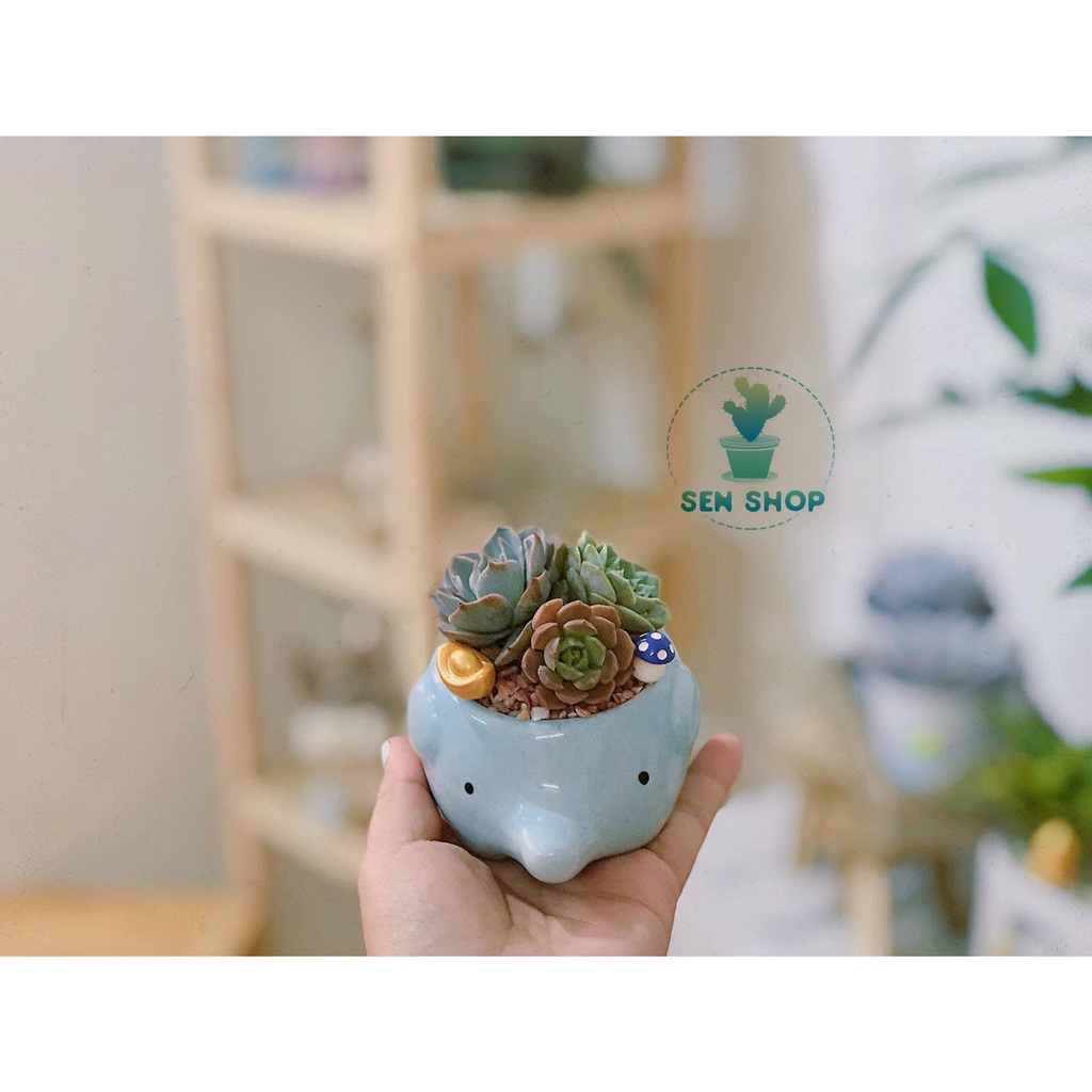 Chậu hình thú chất liệu gốm sứ .