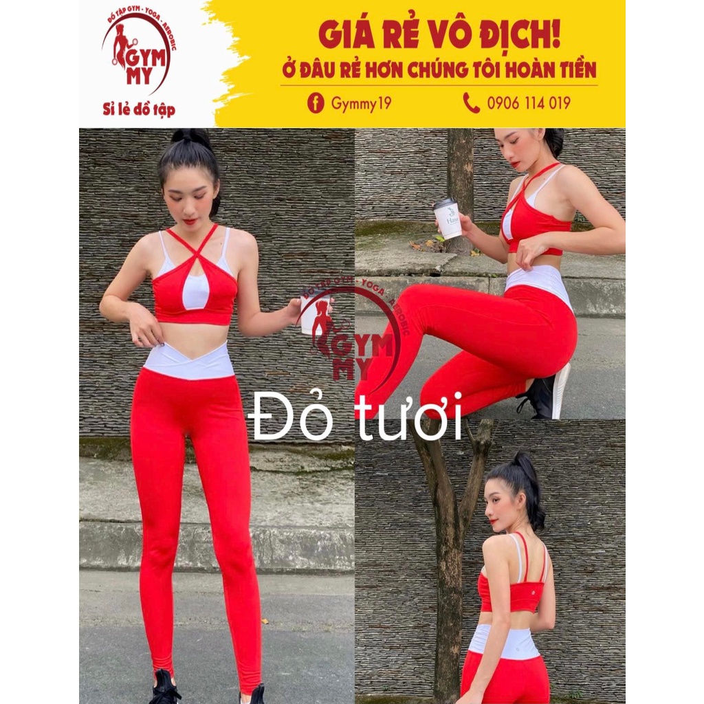 [Hàng Xuất Khẩu] Set Dài Thể Thao Phối Màu Tập Gym - Yoga - Aerobic