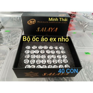Ốc áo ex nhỏ salaya 40 con