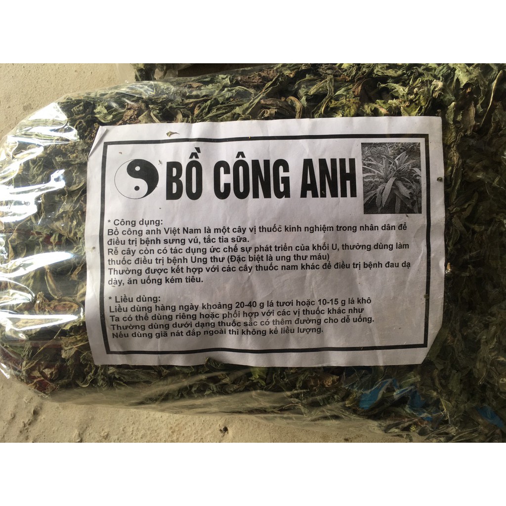 [GIÁ BÁN BUÔN] 500g LÁ BỒ CÔNG ANH HÒA BÌNH [KHÔ, XANH, SẠCH, THƠM]