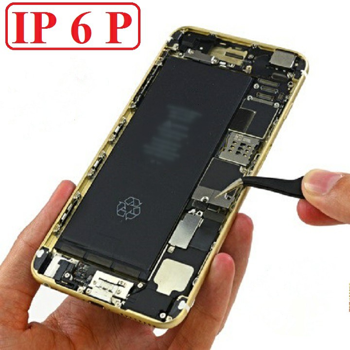 PIN NGẮN TRONG CAO CẤP 6PLUS
