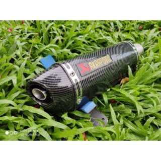 Pô Akrapovic slip-on Carbon