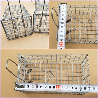 50 Lồng Bẫy Chuột Đồng Đường Mòn không cần sử dụng mồi