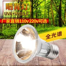 Đèn Sưởi Ấm Cho Thú Cưng Bò Sát