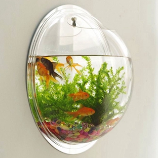 Nhwh Treo Tường Cá Cá Cá Vàng Bể Cá Treo Nồi Bát Bong Bóng DIY Trang Trí