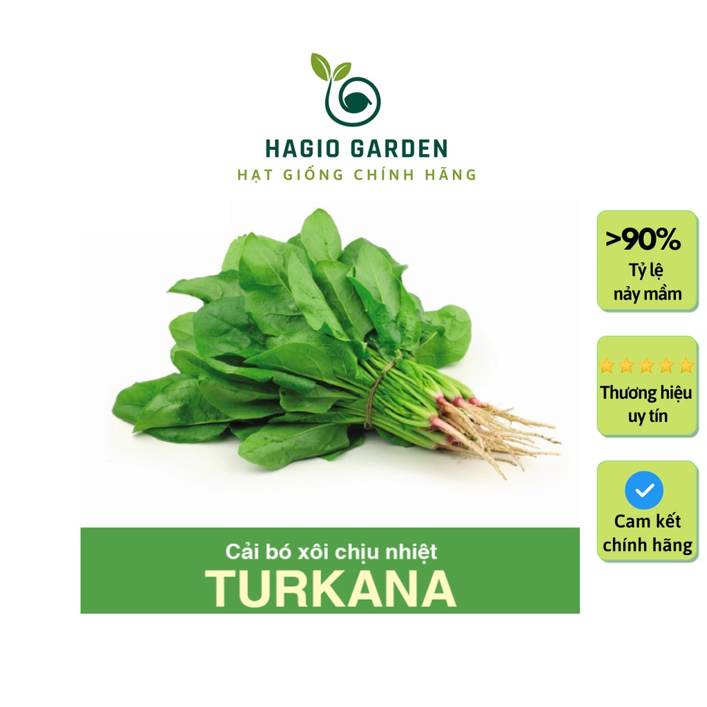 Hạt giống cải bó xôi Turkana chính hãng Rạng Đông, hạt giống rau củ quả HAGIO