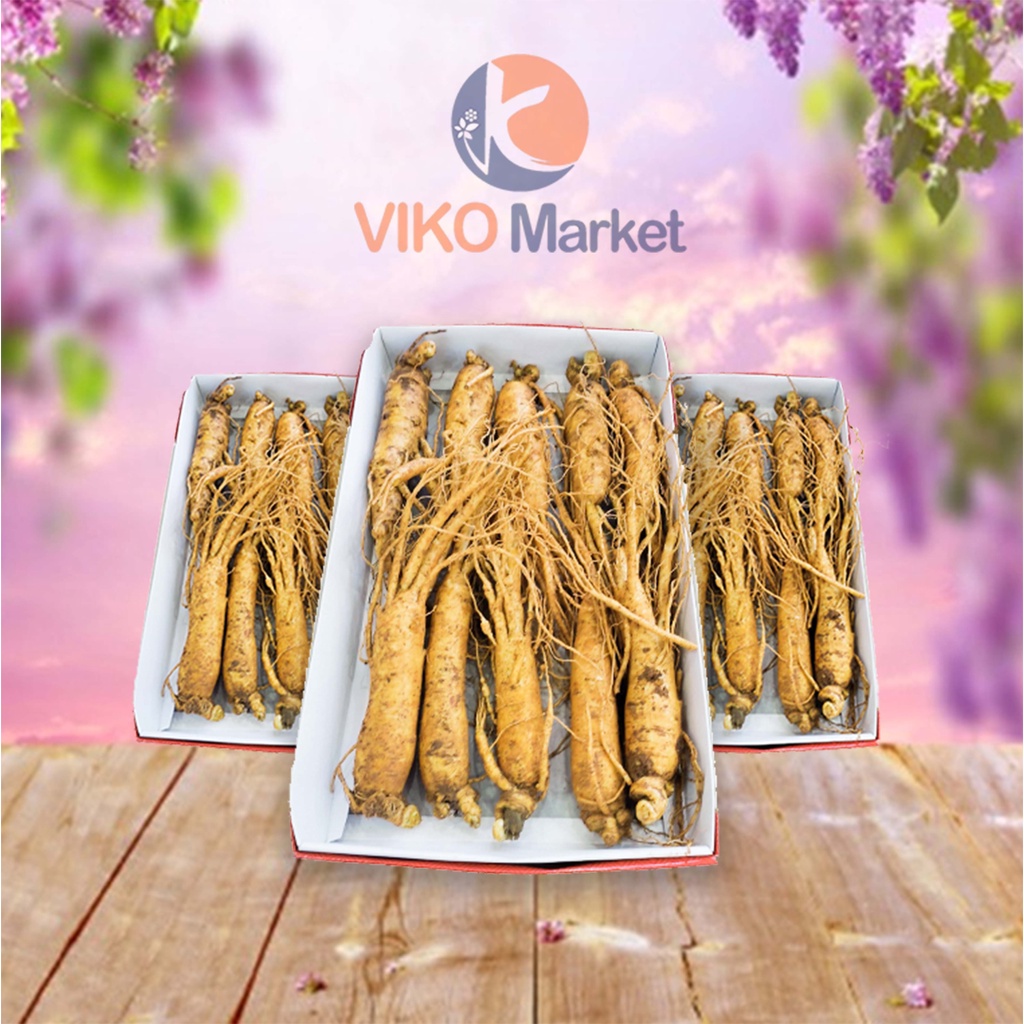 Nhân sâm tươi Hàn Quốc loại 10 củ/kg chuẩn 6 năm tuổi, bồi bổ sức khoẻ - Hàng chính hãng