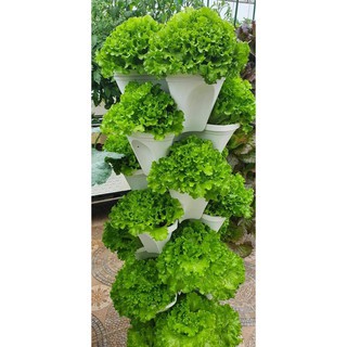 Combo  6 chậu xếp tầng, 6  tầng trồng rau, trồng hoa (tháp trồng cây) hàng việt nam