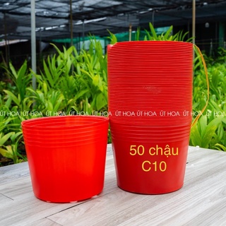 50 chậu C10 đỏ trồng hoa Tết dày đẹp