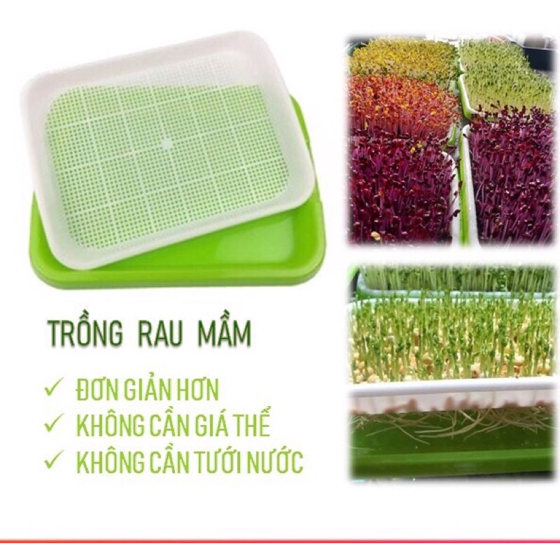 Khay Trồng Rau Mầm Thông Minh