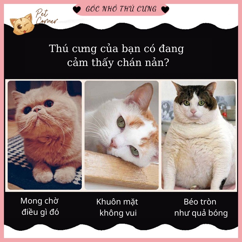 [Combo] Đồ chơi cho chó mèo