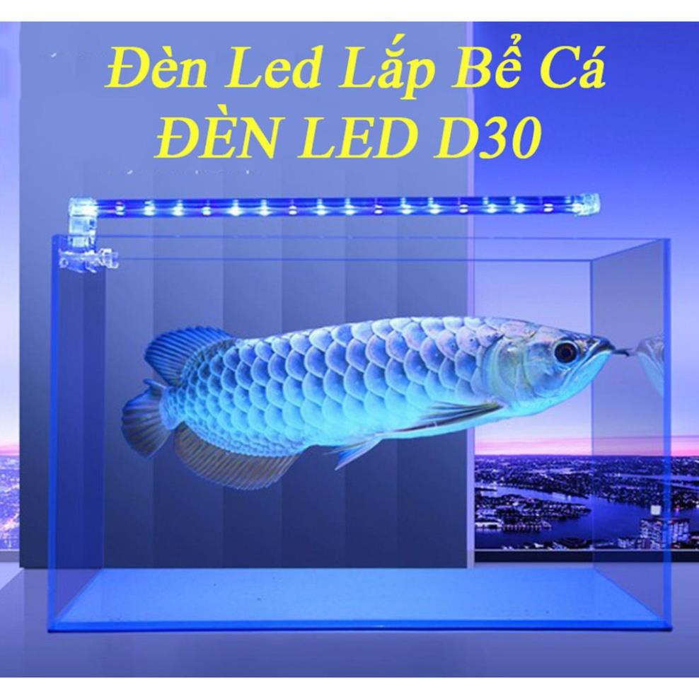 ✔️ bóng đèn led,Đèn led lắp cho bể cá LED D30 [MUA BAO NHIÊU TẶNG BẤY NHIÊU]