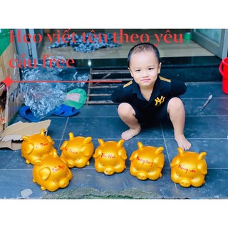 Heo đất tiết kiệm thiên thần