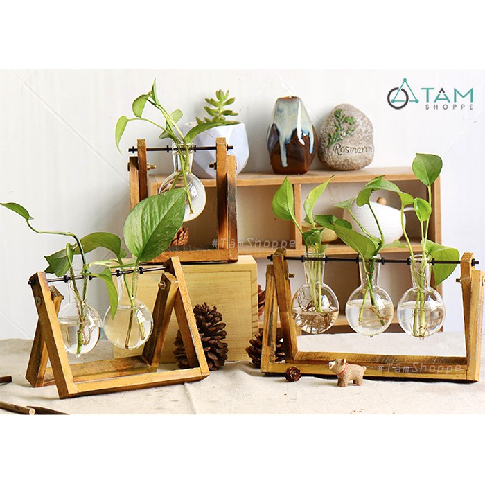 Set khung gỗ lọ hoa thuỷ tinh bóng tròn để bàn W-KGLH-02