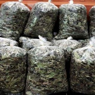 500G XẠ ĐEN HÒA BÌNH HÀNG CHUẨN