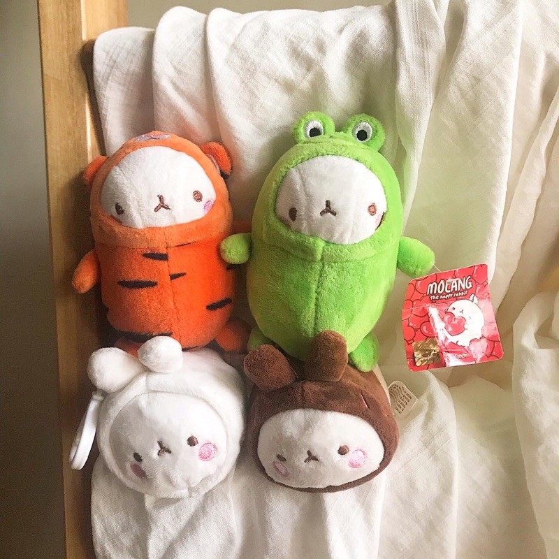 gấu bông molang