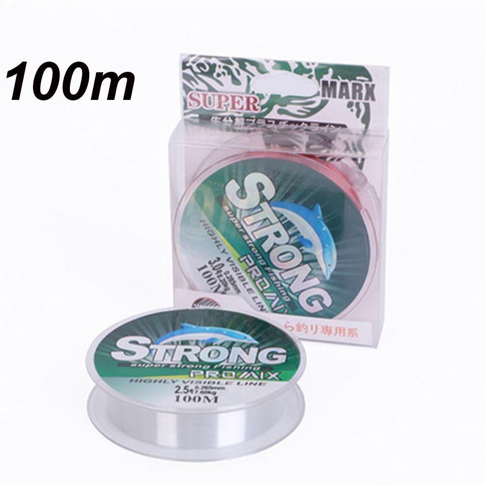 LETTER High Tensile Fluoro Carbon Strong Rope Cord Polyester Bait Fishing Line Nylon Monofilament Angling Invisible Wire Elastic Thread Spool/Multicolor