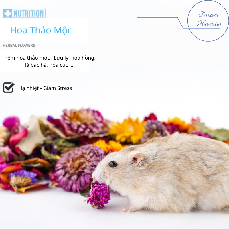 Thức ăn thảo mộc Grain formula hamster food (Fresh grain hamster feed) (Jonsanty)-1LB (~450gr) &amp; 2 LB (~908gr)
