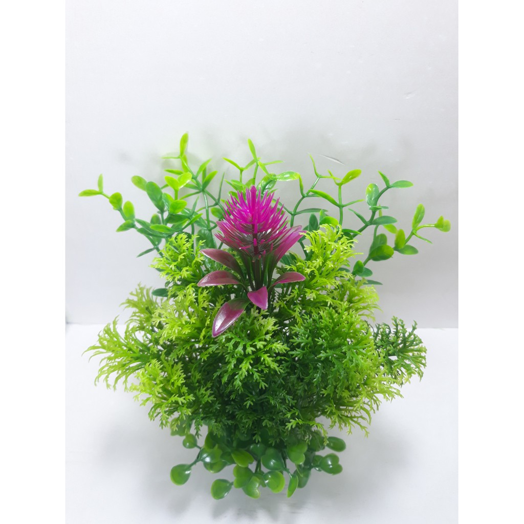Cây cỏ nhựa Size Trung dùng để trang trí hồ cá, tiểu cảnh, bàn làm việc , bàn học.
