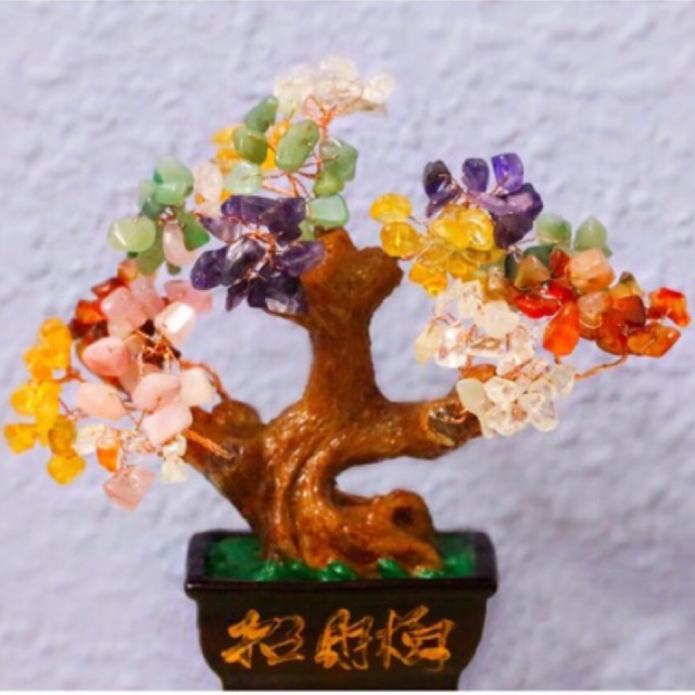 Cây tài lộc tứ quý