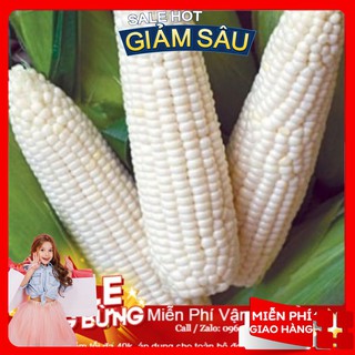 Hạt Giống Ngô Nếp - 20 Hạt / Gói