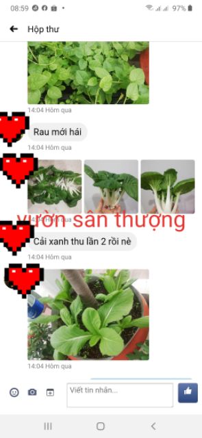 Giá Thể Đã Trộn Sẵn Gói 2kg Cho Rau, Củ, Quả, Cây Cảnh,.. Gồm Đất Phù sa, Tricho, Phân Nhật, Trùn Quế,v.v Trồng Ngay